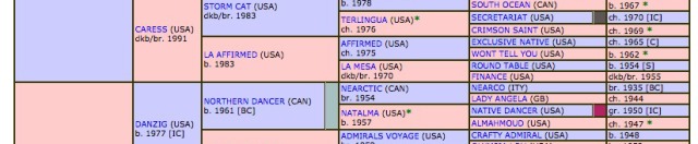 Prospect Spotlight - Sky Hero