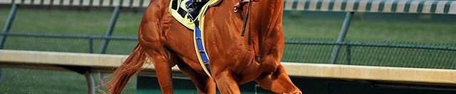 Triple Crown 2015 - 35 to Watch